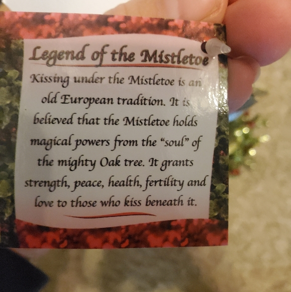 Kissing Ball Holly Mistletoe Hanging Decor - Picture 3 of 5